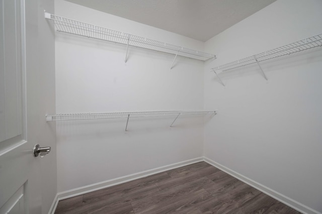 spacious closet featuring dark wood-type flooring