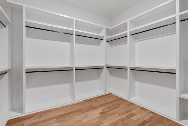 spacious closet with hardwood / wood-style floors