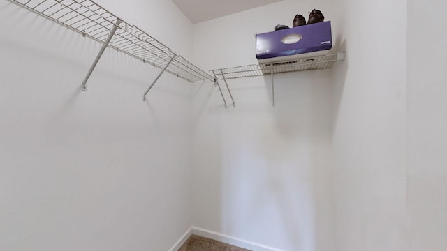 spacious closet with carpet floors