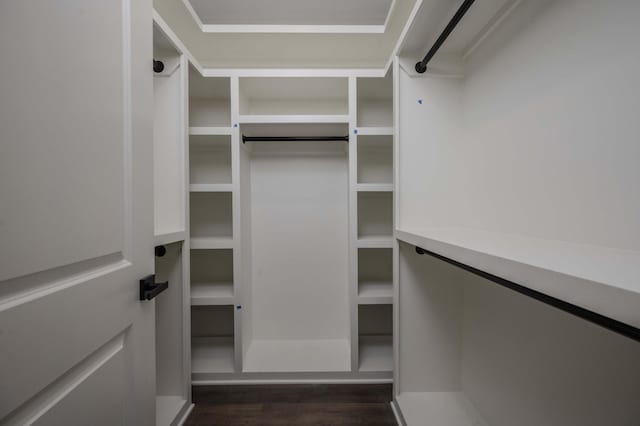 walk in closet featuring dark wood-type flooring