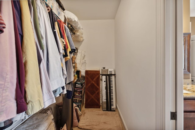 spacious closet with light carpet