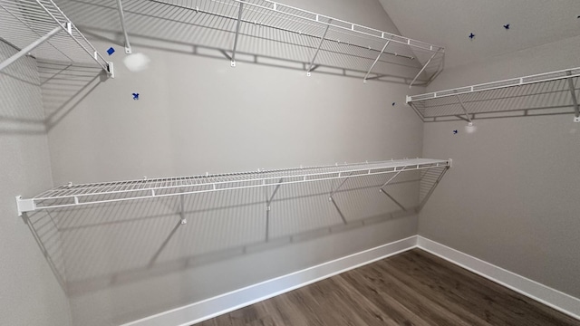 spacious closet featuring dark wood-type flooring