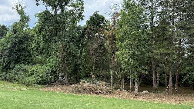 843 Stovers Gln, Murfreesboro, TN 37128 - view of grassy yard featuring a view of trees