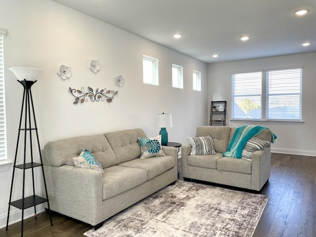 living room featuring hardwood / wood-style floors