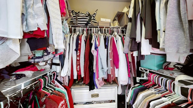 view of spacious closet