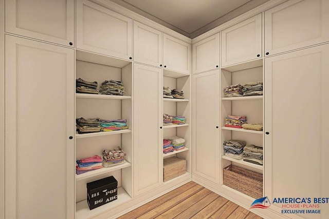 spacious closet featuring light wood-type flooring