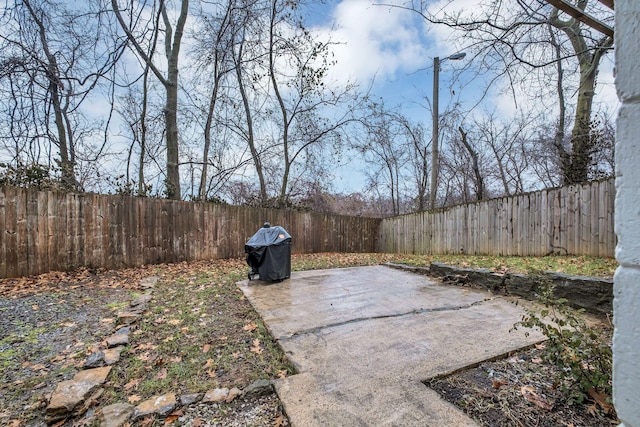 view of yard with a patio area