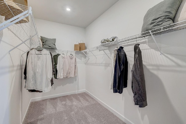 walk in closet featuring carpet flooring