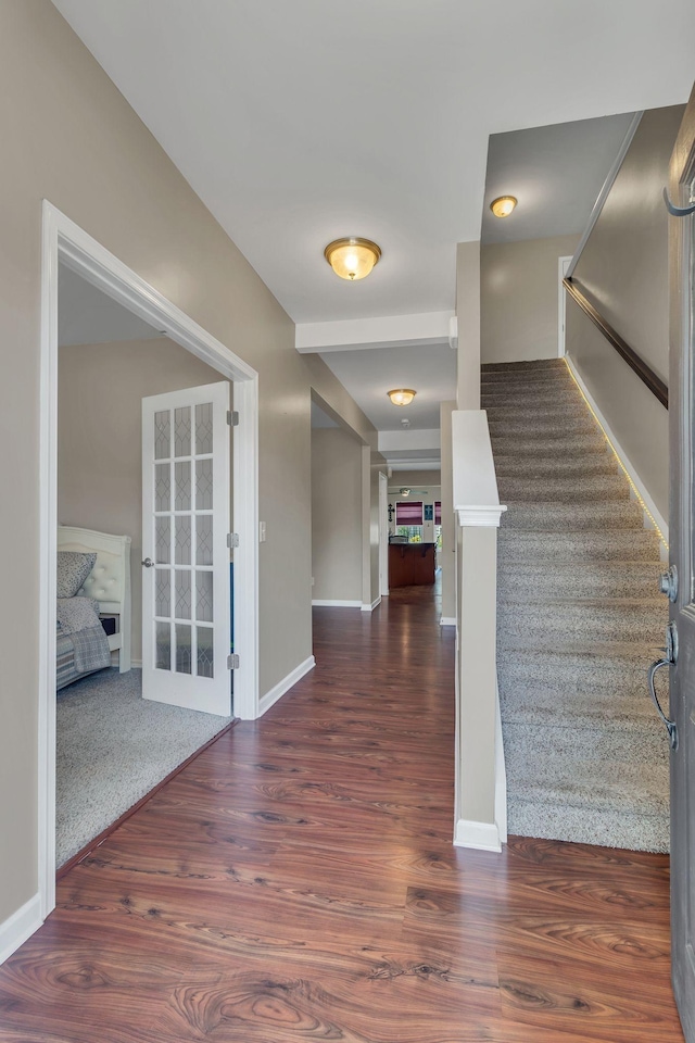 foyer entrance with dark hardwood / wood-style flooring