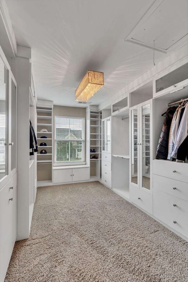 walk in closet with carpet floors