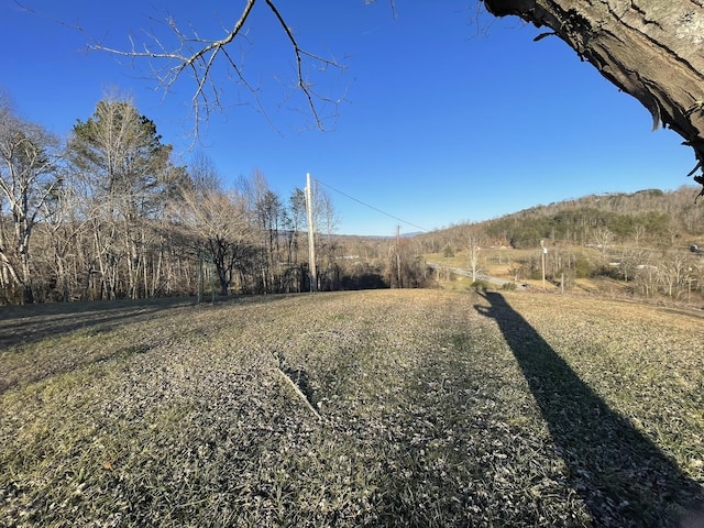 view of yard featuring a rural view