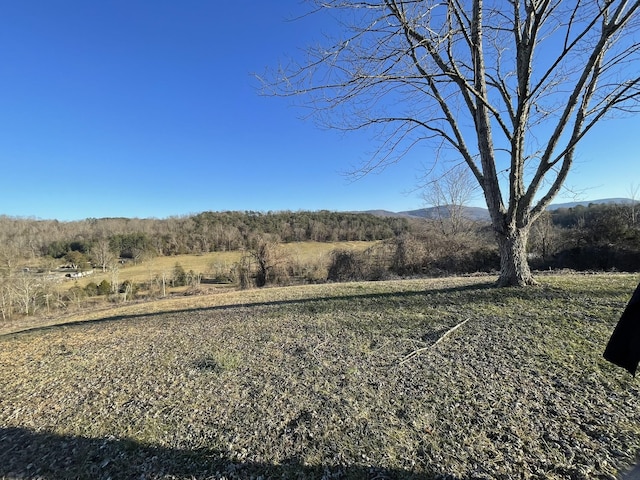 view of yard featuring a mountain view and a rural view