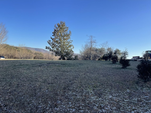 view of yard with a rural view