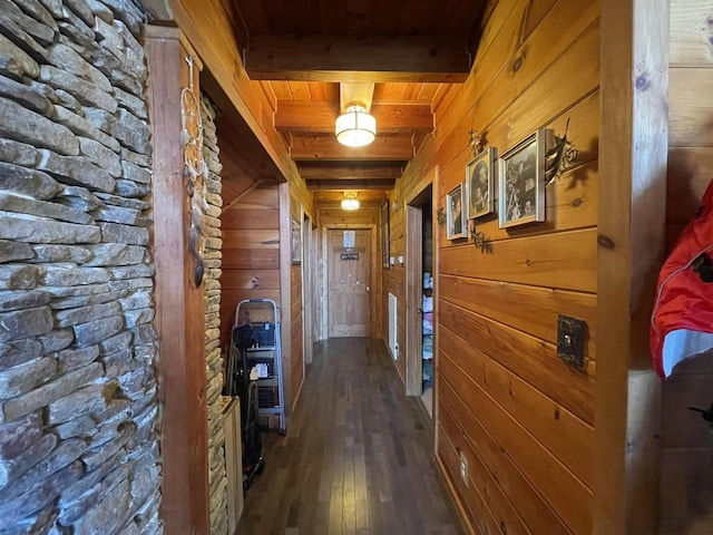 corridor with dark hardwood / wood-style flooring, beam ceiling, wooden ceiling, and wood walls