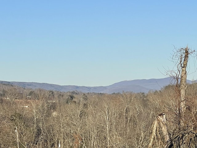 view of mountain feature