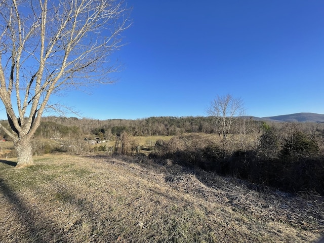 view of nature featuring a mountain view