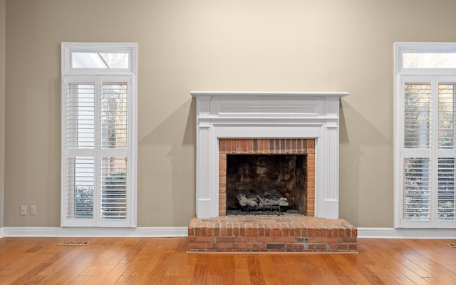 details featuring a fireplace and wood-type flooring