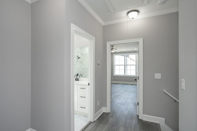 corridor featuring crown molding, dark hardwood / wood-style floors, and sink