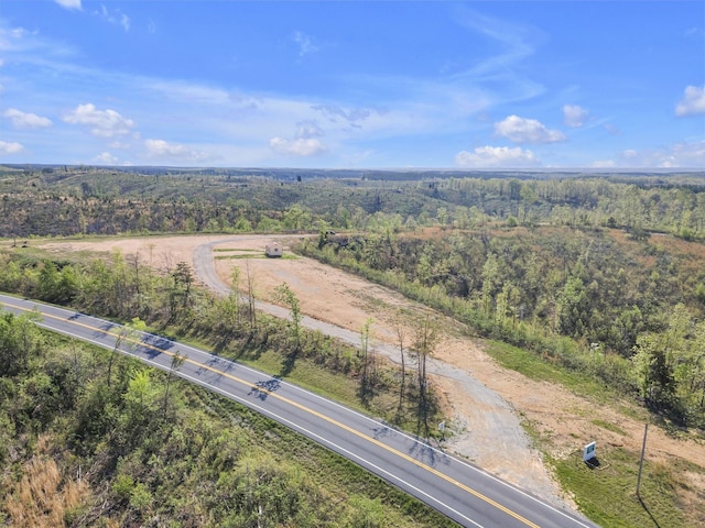 155 Burns Hollow Rd, Waynesboro TN, 38485 land for sale