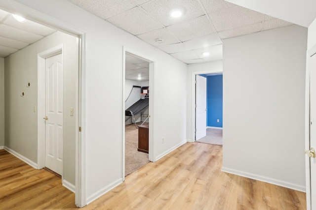 corridor with a paneled ceiling and light hardwood / wood-style floors