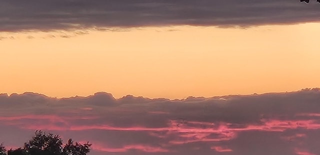 view of nature at dusk