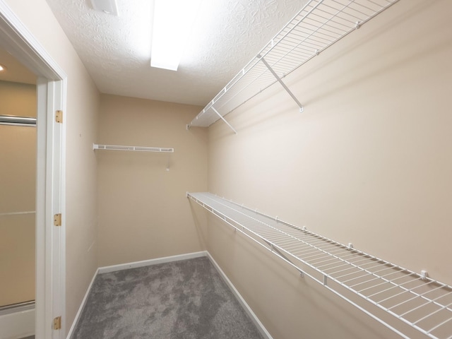 walk in closet featuring carpet floors