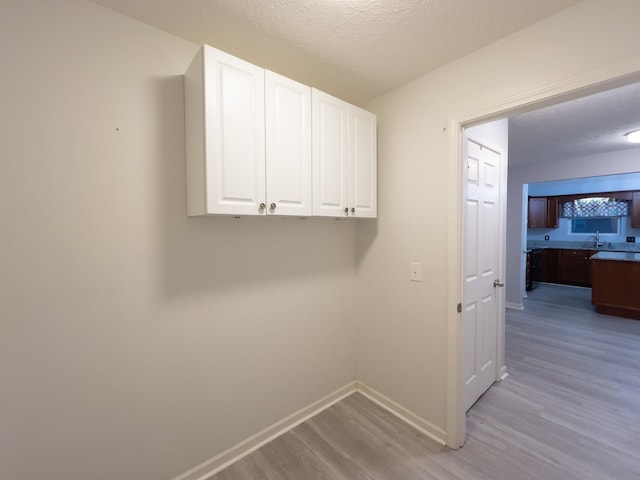 clothes washing area featuring light wood-type flooring