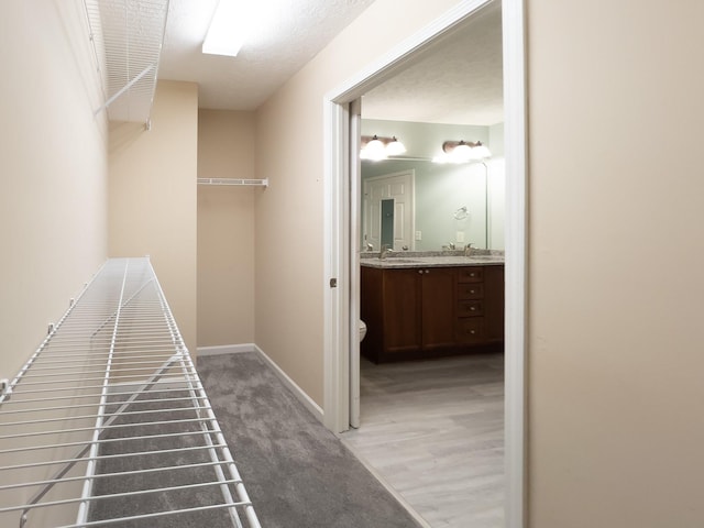 corridor featuring sink and carpet flooring