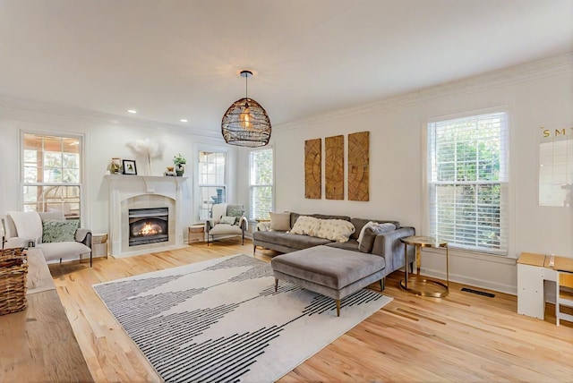 living room featuring ornamental molding, light hardwood / wood-style floors, and a healthy amount of sunlight