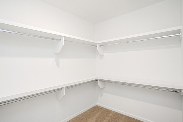 spacious closet with carpet flooring