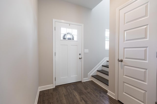 entryway featuring dark hardwood / wood-style flooring