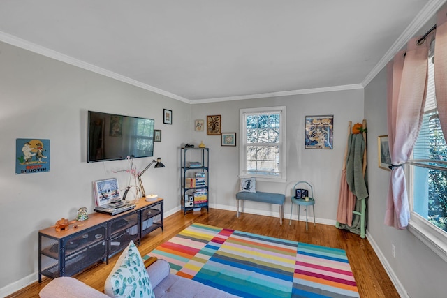 playroom with hardwood / wood-style flooring and ornamental molding