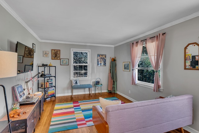 living room with ornamental molding and light hardwood / wood-style floors