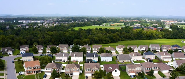 drone / aerial view