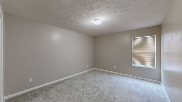 empty room featuring light colored carpet, a textured ceiling, and a wealth of natural light