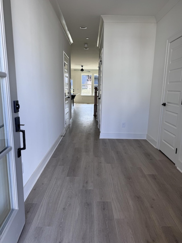 hallway featuring crown molding and dark wood-type flooring