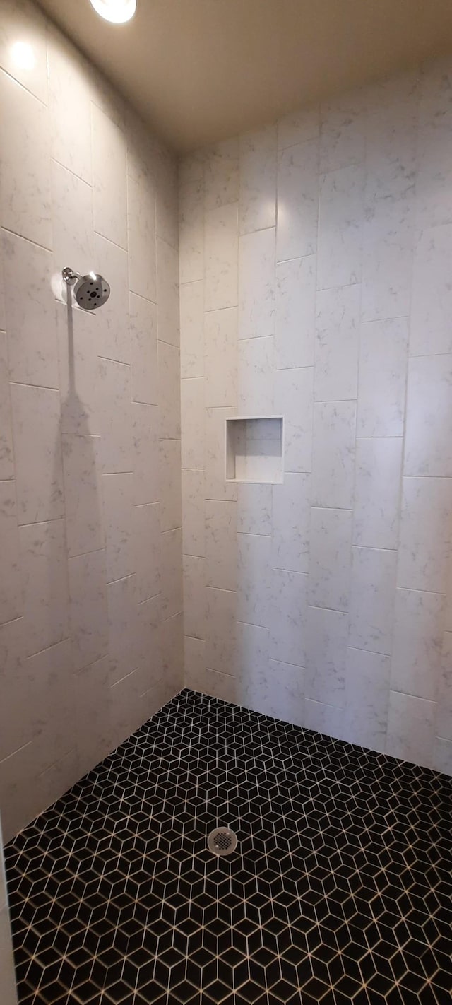 interior space featuring walk in shower