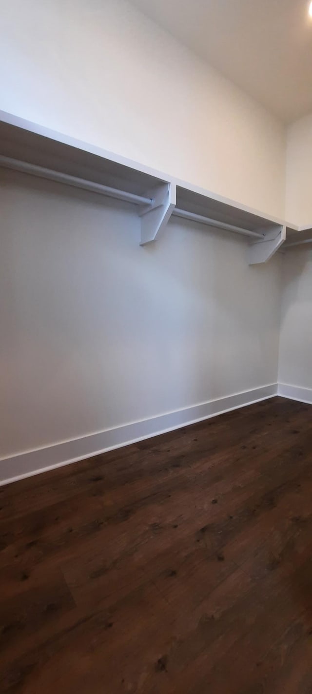 spacious closet with dark wood-type flooring