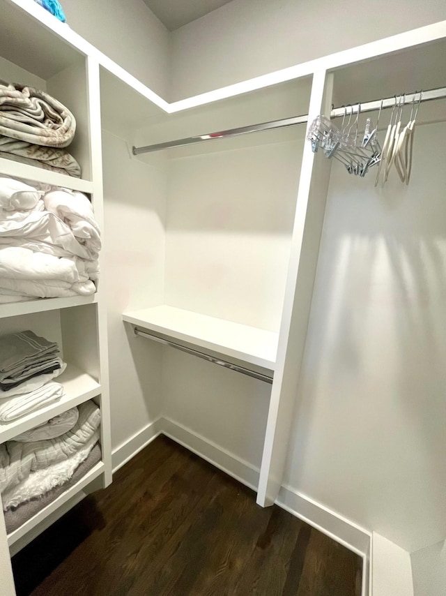 walk in closet featuring hardwood / wood-style flooring