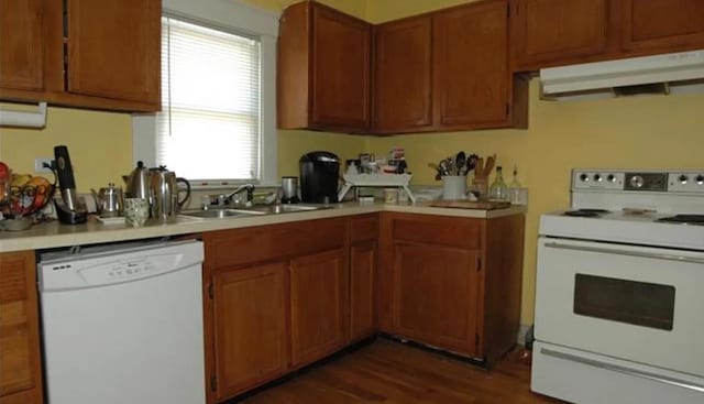 kitchen featuring dark hardwood / wood-style flooring, sink, white appliances, and ventilation hood