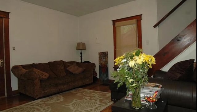 living room with dark hardwood / wood-style flooring