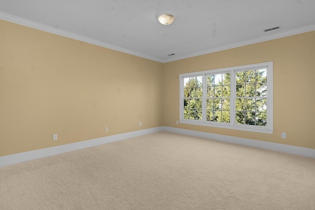 spare room featuring ornamental molding and carpet