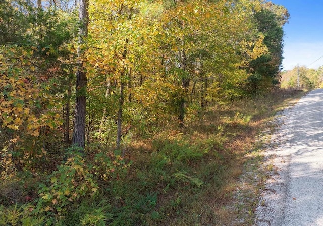 0 Beech Ridge Rd, Parsons TN, 38363 land for sale