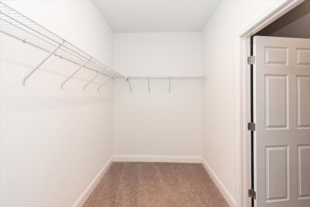 spacious closet with carpet