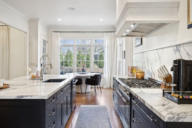 kitchen featuring sink, crown molding, premium range hood, stainless steel appliances, and tasteful backsplash