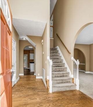 foyer featuring wood-type flooring