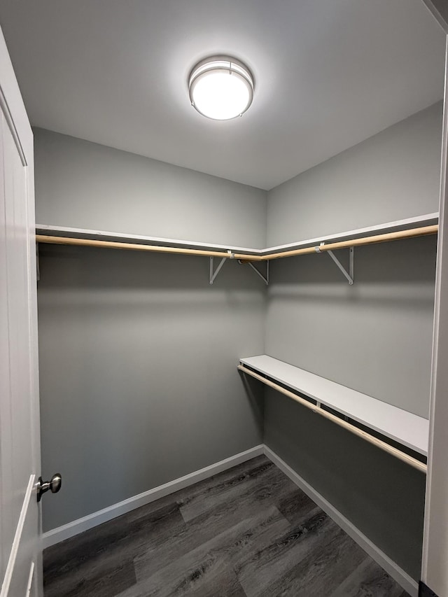 spacious closet with dark wood-type flooring