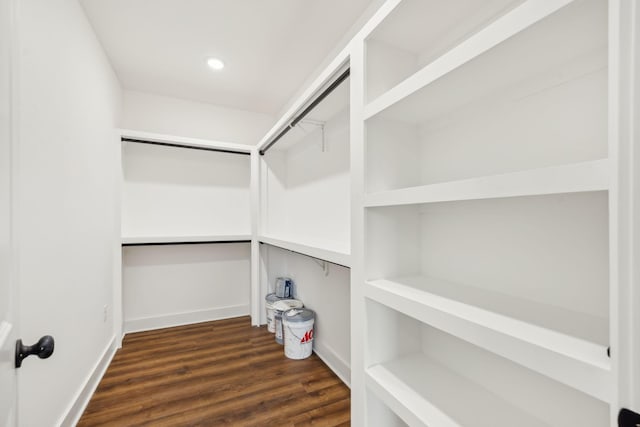 spacious closet featuring dark hardwood / wood-style flooring