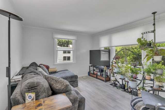 living room featuring crown molding and light hardwood / wood-style floors