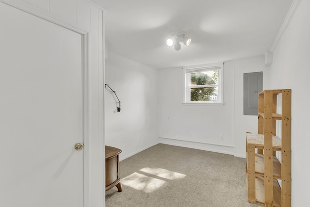 spare room featuring electric panel and light carpet